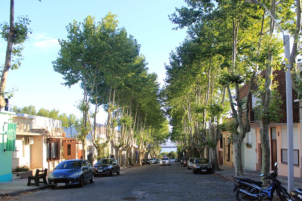 Colonia Del Sacramento Rua Arborizada Foco No Mundo